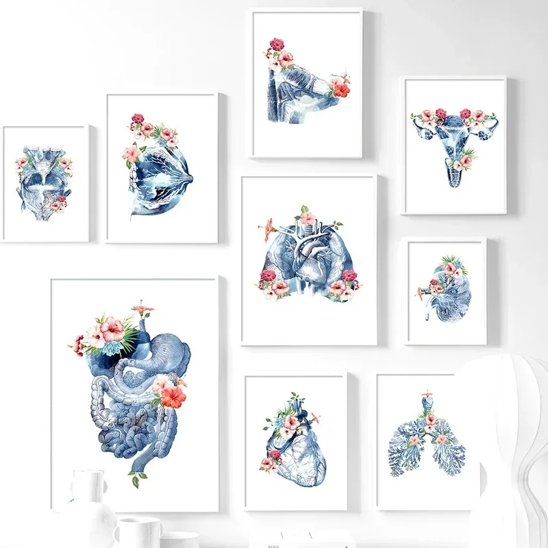 

Nordic Blue Flower Human Organs Anatomy Breast Lung Canvas Paintings And Prints Wall Art Pictures For Doctors Room Decor
