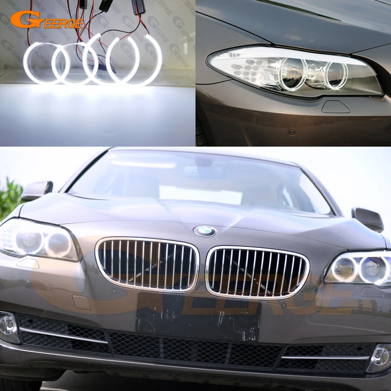 BMW Emblem Overlay Vinyl 520i 520Li 520d 523i 523Li 525i 525d 525xi 525Li