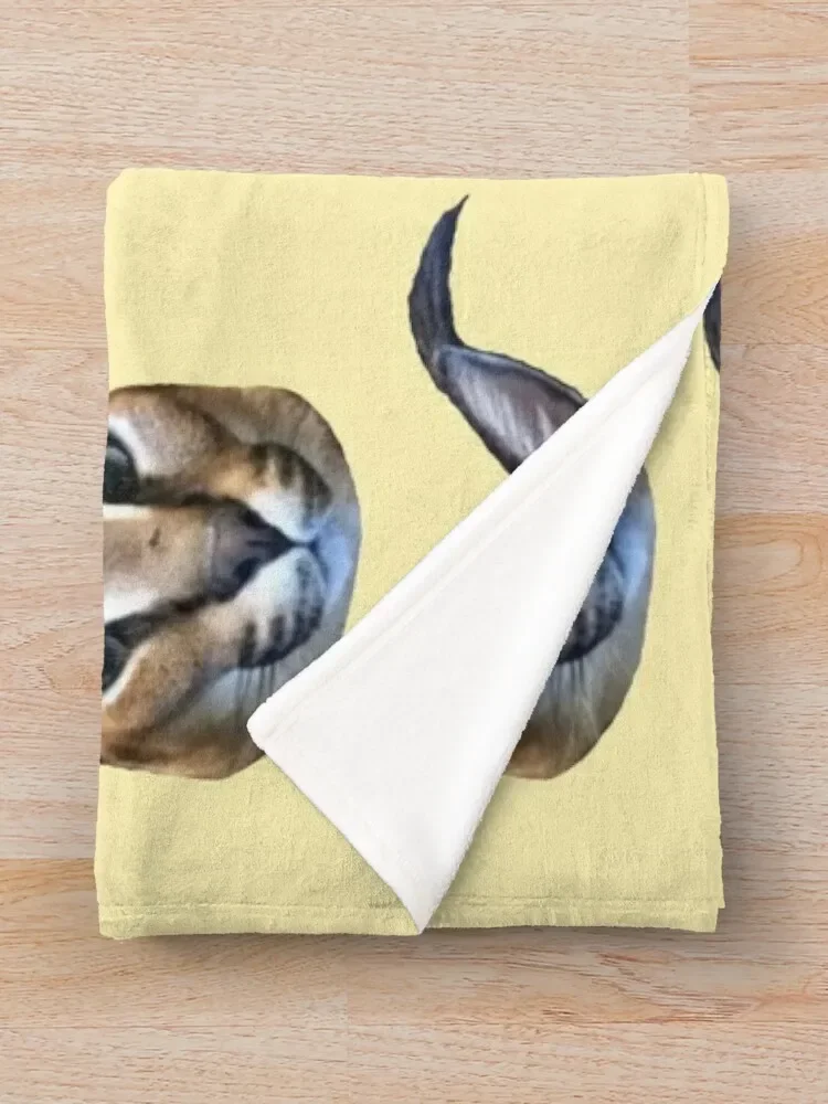 ū �÷��� ������ ���, ������ �ܿ� ���� ���� ���� ���,  ��� �����̳�