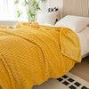 2024 New High Gram Weight Golden Turtle Velvet Milk Velvet Blanket Luxury Blanket  Throw Blanket for Sofa  Boho Blanket 5