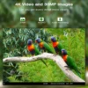 4K Live Show APP Clould Service Hunting Trail Camera HC801PROLI Stream Media 5000Mah Recharger Battery 4G 30MP Night Vision 3