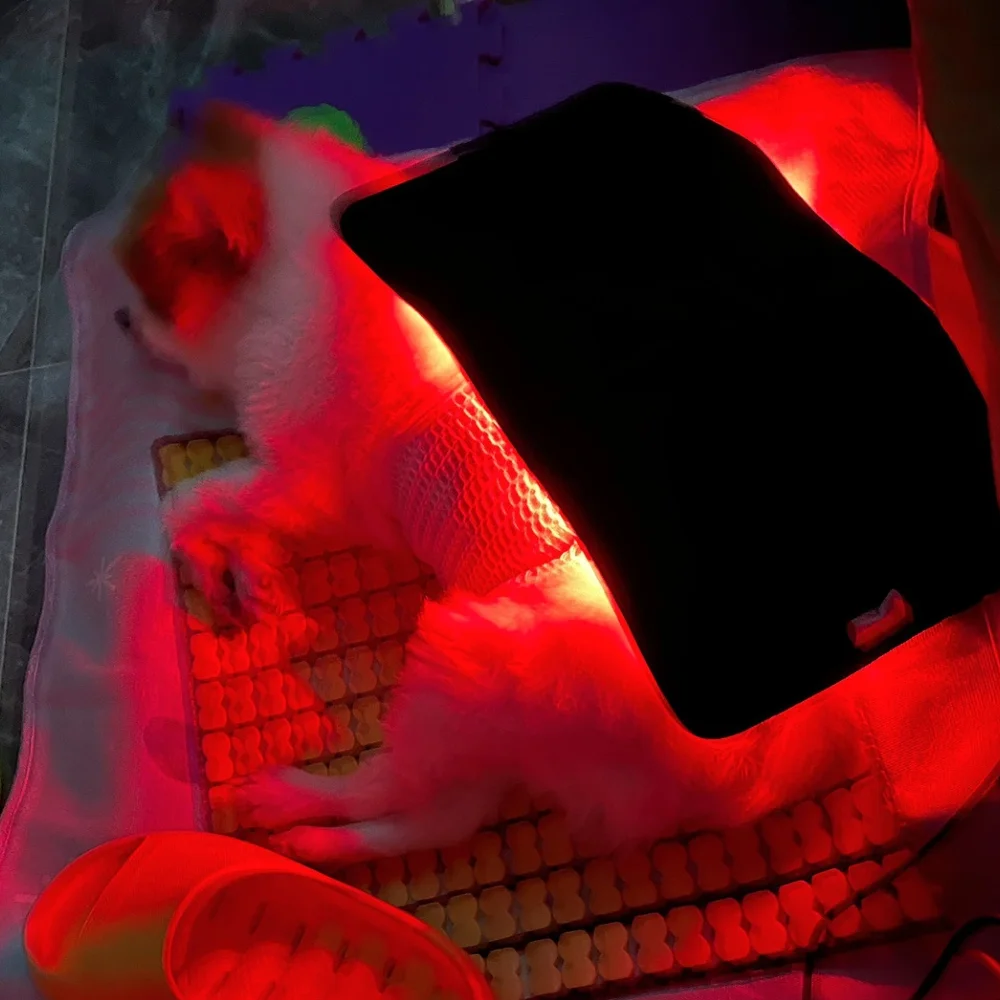 Professional Veterinary Red Light Therapy, LED Device for Dog Joint Pain Relief and Recovery