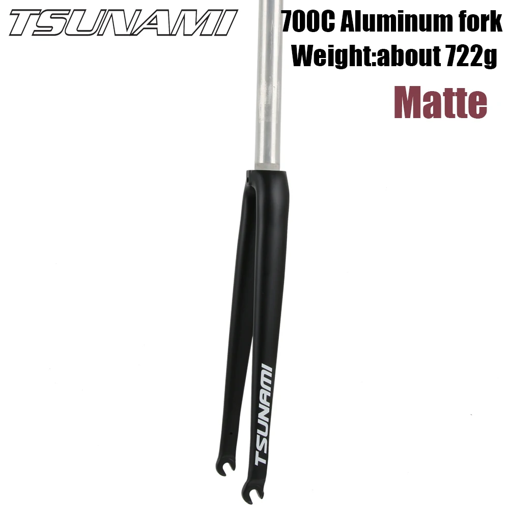 津波SNM100 seaboard CR01道路の自転車のフロントフォークすべて