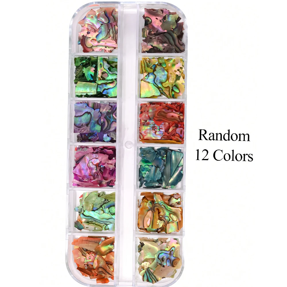 12Grids Nail Art Aurora Abalone Shell Flakes 3D Irregular Sea Shell Slices Nail Charms 1pcs Holographic Shell Sequins Nail Parts 5