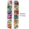 12Grids Nail Art Aurora Abalone Shell Flakes 3D Irregular Sea Shell Slices Nail Charms 1pcs Holographic Shell Sequins Nail Parts 5