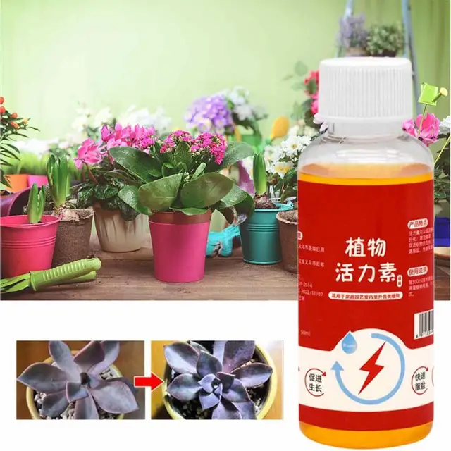 Növénynövekedés -Fokozó Kiegészítő Növényi Pornövekedés Szabályozó A Palánta Bonsai Fa Számára - Image 4