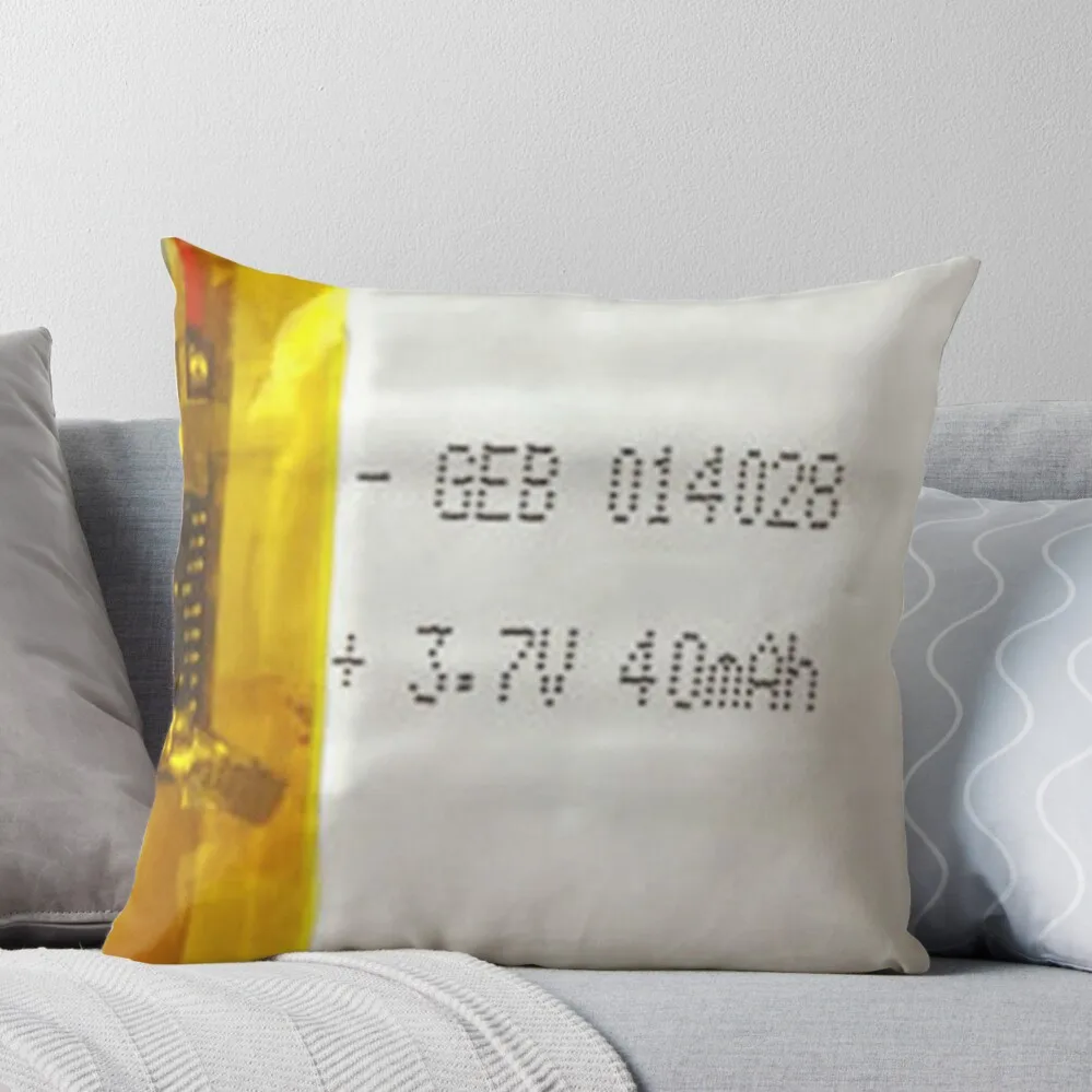

Forbidden Li-on Pillow Throw Pillow luxury throw pillow covers Couch Pillows