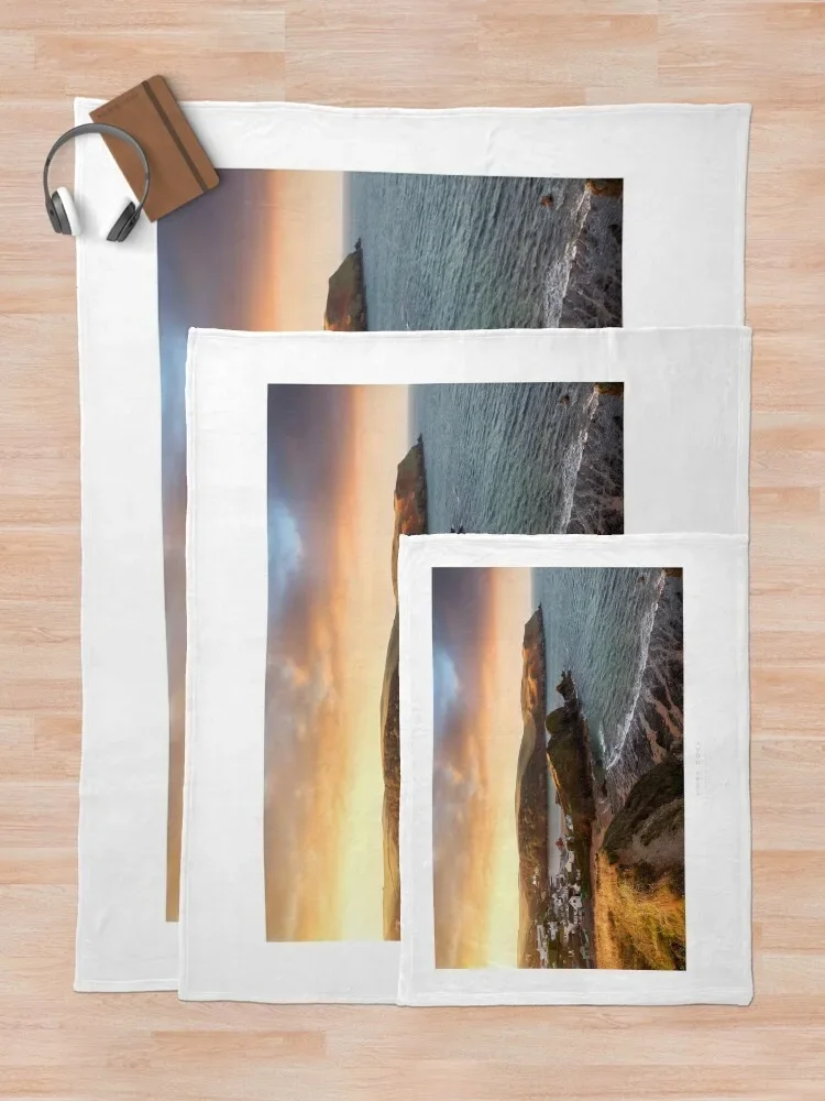 ȣ�� �ں� ������ ���, ǫ���ϰ� ���� ������ ķ�� �غ� ���