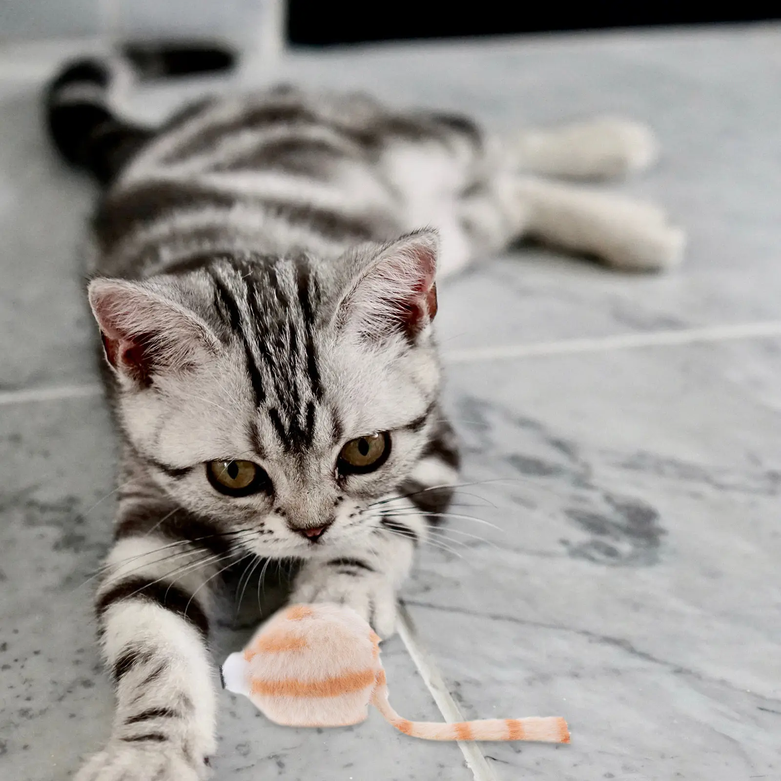 4Pcs 현실적인 고양이 마우스 시뮬레이션 장난감 실내 훈련 고양이 새끼 고양이를위한 대화 형 마우스 모양의 애완 동물 용품