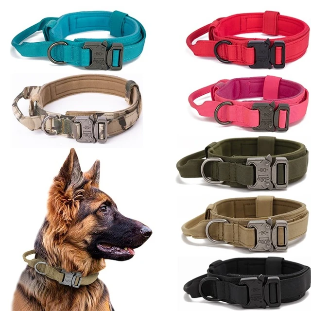 Acheter Collier tactique pour chien, collier d'entraînement pour animaux de  compagnie et laisse, poignée de contrôle en caoutchouc, colliers sans  traction pour petits et grands chiens