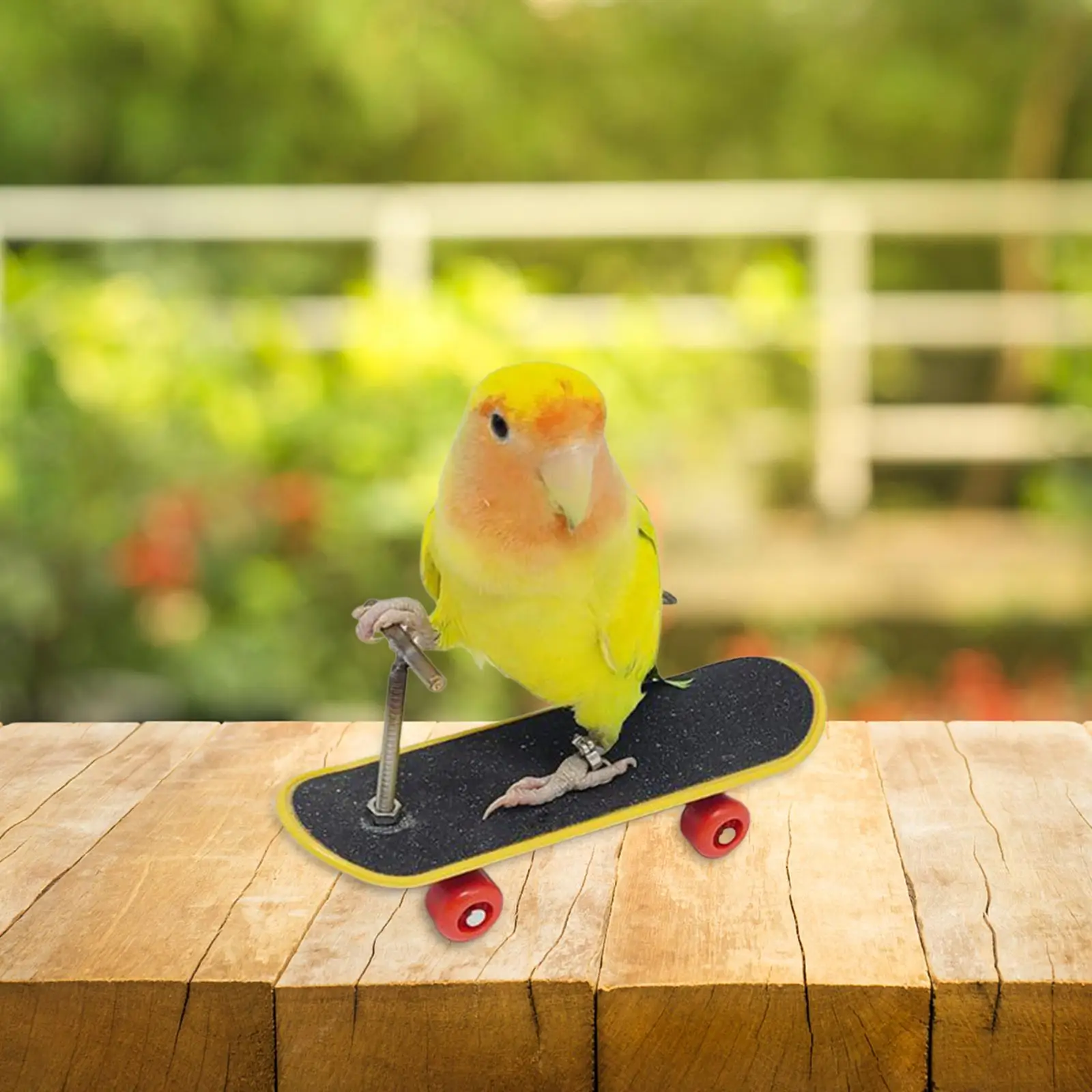 

Parakeet Toy Playing Desktop Stand Sturdy Bird Perches Activity Toy Bird Toy
