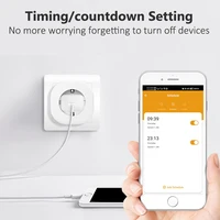 BORUIDAPLS Tuya Zigbee Smart Socket EU/FR/Israel/Brazil/Switzerland 16A With Power Monitoring Voice Control Alexa Google Home - Image 4
