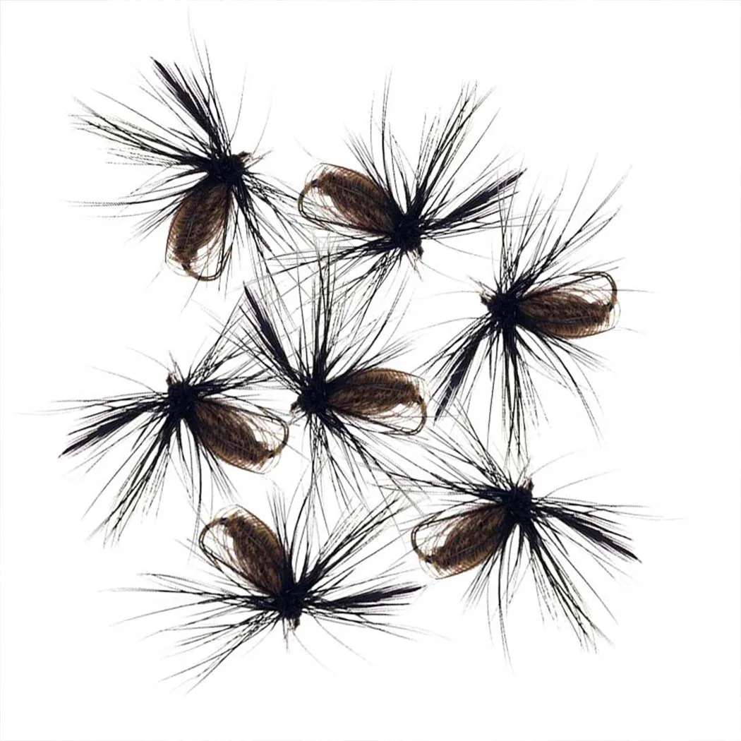 5/10pcs schwarz trocken/nass Käfer fliege Pfauenfeder flügel Fliegen fischen Fliegen für Karpfen/Forellen köder