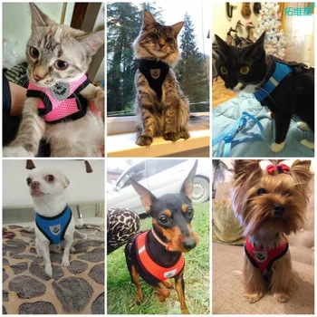 Cat/Dog Harness & Leash Set 5