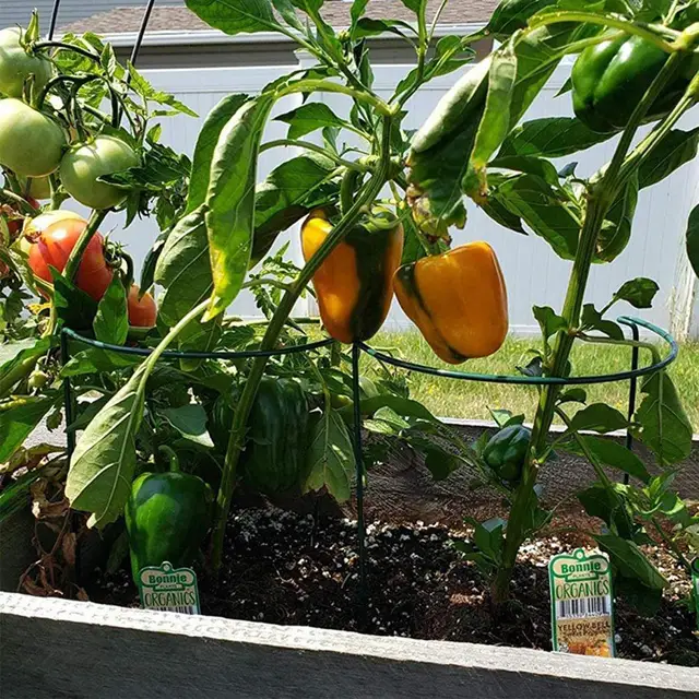 1/6 db Növényi Tartó Tétgyűrű Gyűrű Ketrec Kerti Növény Tételt Bazsarózsa Paradicsom Zöldség Rózsa Virág Szőlő - Image 5