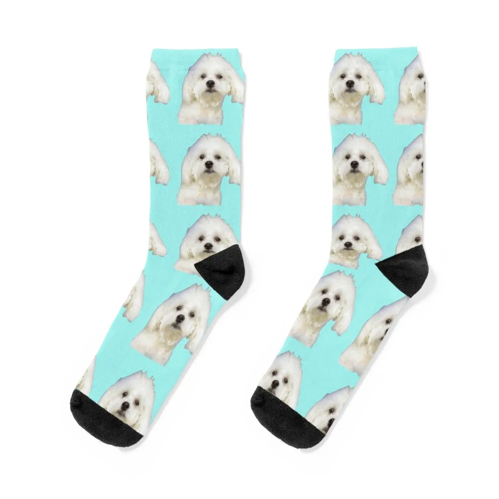 

Maltese puppy on blue Socks Christmas Socks Men Women's