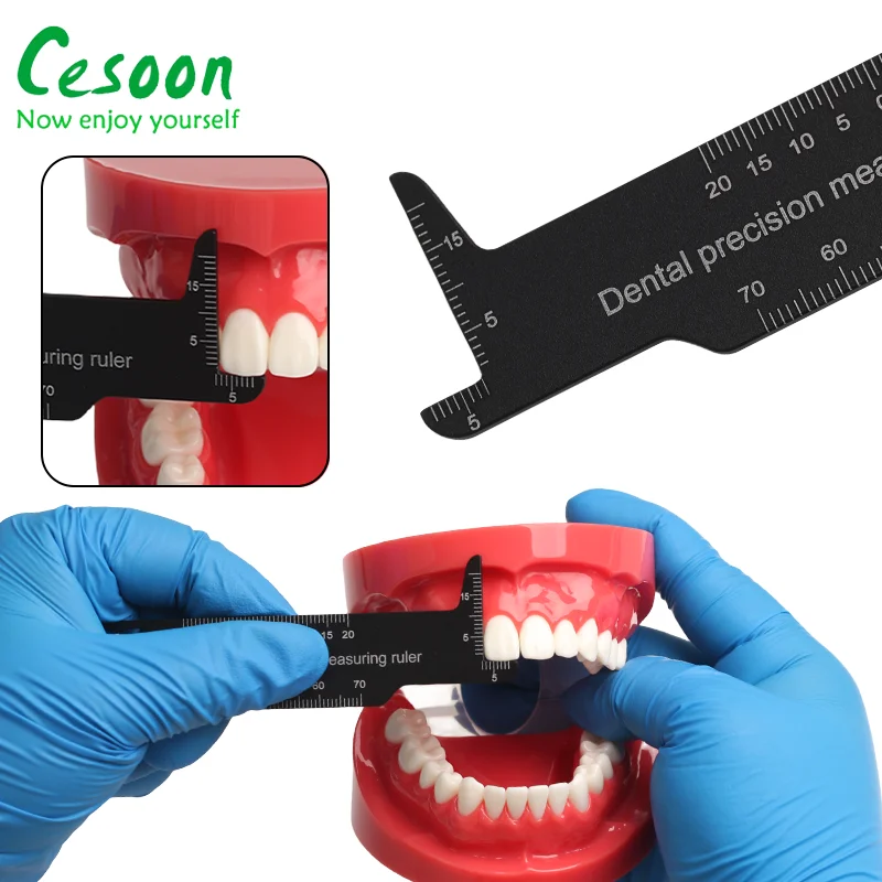 Supports Endodontiques En Aluminium - Lot De 2 Pièces Pour Maintien Précis Des Instruments