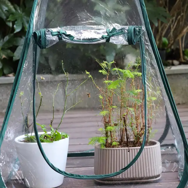 Mini Pop Up Üvegház Burkolat Hordozható Összecsukható Ablak Napsütés Szoba Hideg Fagyvédő Hátsó Udvari Virág Menedékhely - Image 5