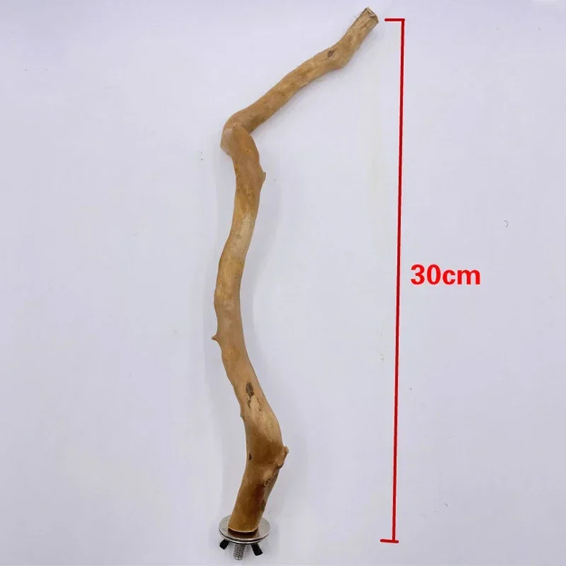 Parrot Toy Natural Parrot Perch Bird Stand Tree Stick Paw Grinding Fork Parakeet Climbing Bird Standing Branches Birdcage Accessories