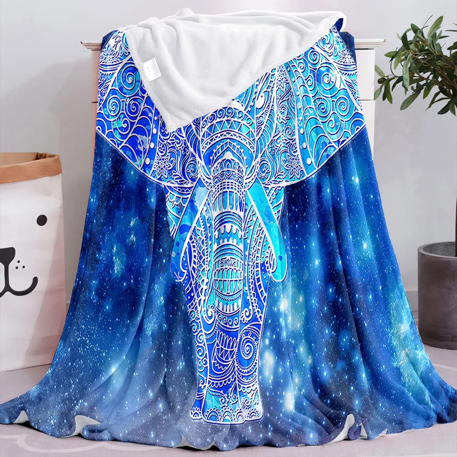 �ε� ���� ���ٶ� �ڳ��� ��Ÿ�� �ö��� ���� ��� �ε巴�� ������ ������ ���� ���� ħ�� ���, ���� ķ�� ����