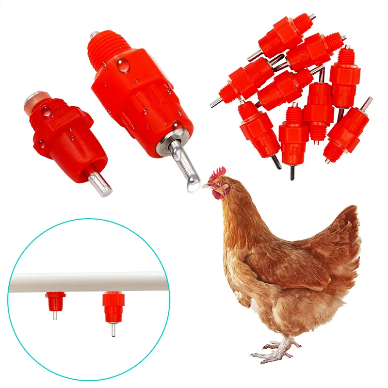 4 Chicken Waterer Push In Poultry Nipples Drinker Bird Drink Water Fowl Chook