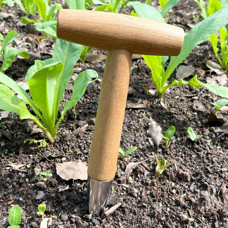 Gardening Bulb Planter Seedling Transplanter Vegetable Flower Plant Transplanters， Garden Depth Digging Tool with Wooden Handle 5
