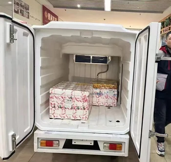 Portable Mobile DC Freezer