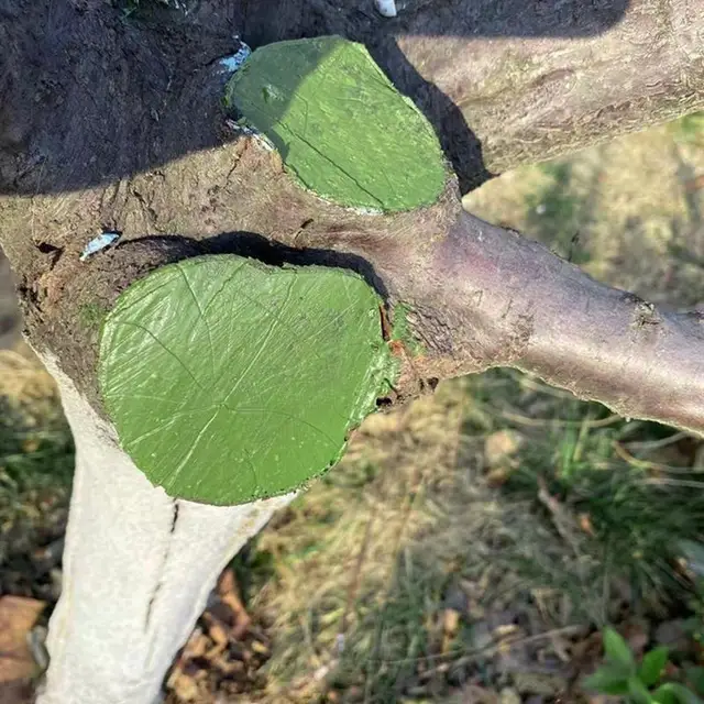 Fa Sebtömítő 250 G Seb Metsző Tömítés Kefével Bonsai Sebgyógyító Szer Növény Metszés Gyógyító Paszta Fák Oltás - Image 3