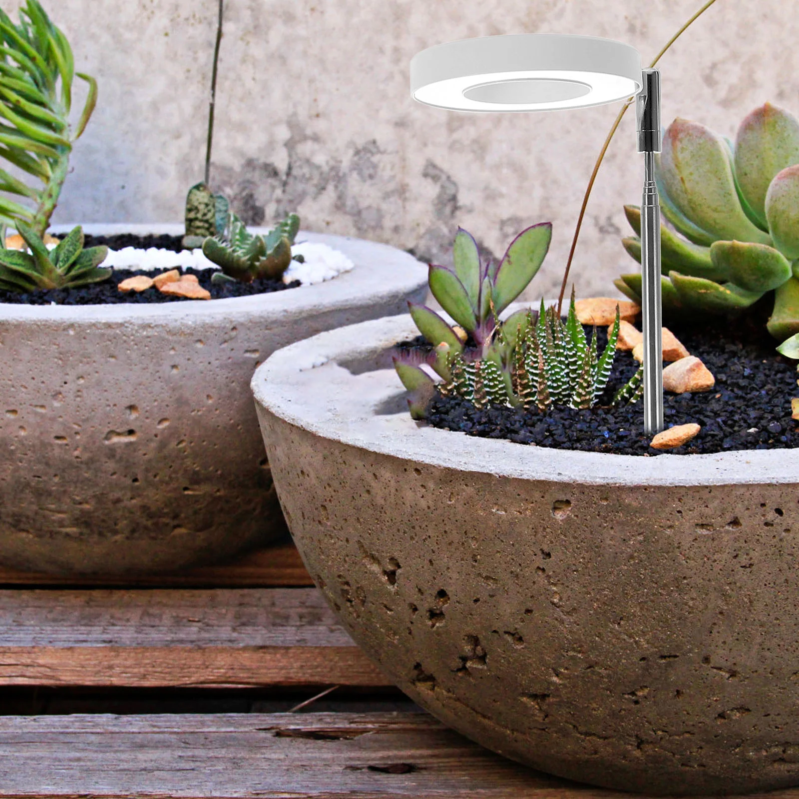 Рисунок 2 - Лампа для выращивания растений в горшке