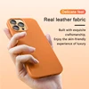 Official Animation Leather Magsafe Case For iPhone 15 14 13 16 Pro Max 16 Plus Magnetic Wireless Charging Phone Cases Back Cover 4