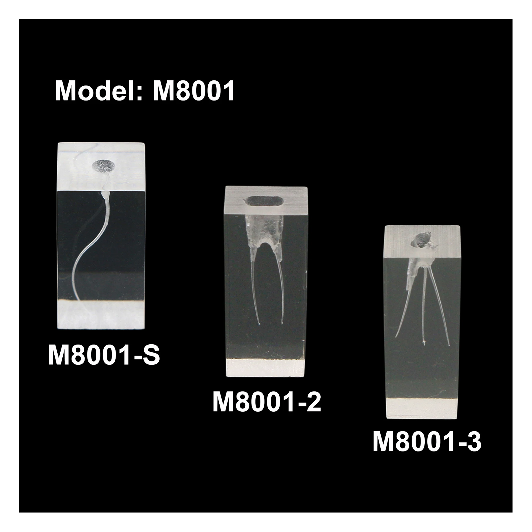 

Dental Practice Teeth Model Endo Training Block 1 2 3 Root Canal Endodontic Clear Demo M8001 For Rotary Files Study