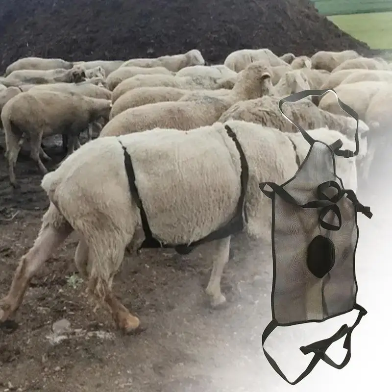 Anti Mating Apron For Goats Breathable Breeding Control Goat Anti Mating Apron Livestock Clothing Sheep Goat Weighted For
