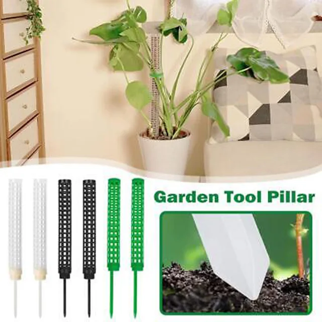 2 Db Hegymászó Növény Tét És Mohaoszlopok, Hogy Támogassák A Mászó Szobanövényeket Beltéri Virágnövény Szőlőmászó Tartó - Image 4