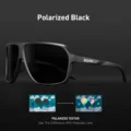 Polarized- 04