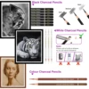 Professional Colored Charcoal Pencils Drawing Set,12 Pieces Pastel Chalk Pencils for Sketching, Shading, Blending, Portrait, Bl 3