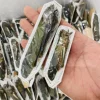 Real Moth Insect Grasshopper Specimen Teaching and Research Hobby Collection of Home Decoration Crafts Statues for Decoration 1