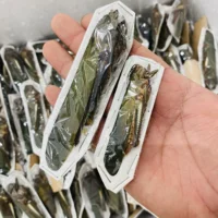 Real Moth Insect Grasshopper Specimen Teaching and Research Hobby Collection of Home Decoration Crafts Statues for Decoration 1