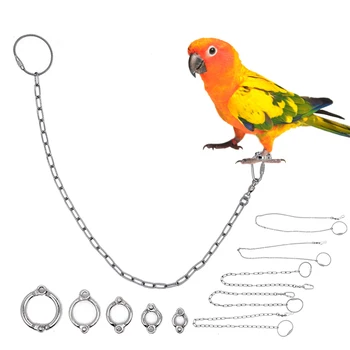 Parrot Leg Ring Stainless Steel Bird Ankle Foot Chain Ring Anti Bite Wire Rope Outdoor Flying Training Accessories Pigeon Supply 1