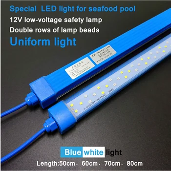 Luces LED especiales impermeables para piscinas de acuarios voltaje de 12 V