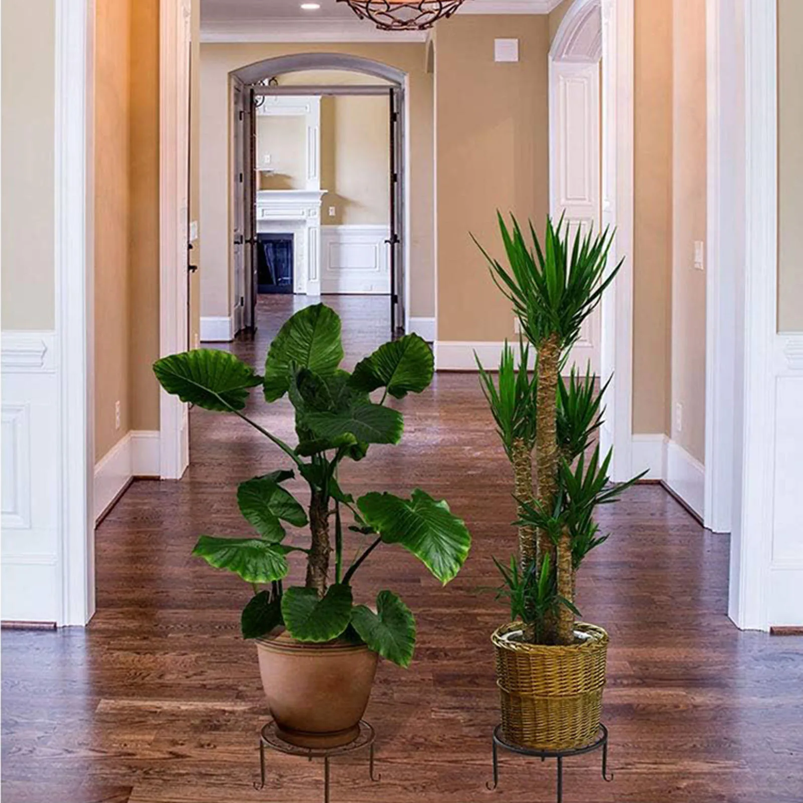 Black Planter Flower Pot Stand Protect Floor Flower Pot Shelf for Home Patio Balcony Porch SDI99