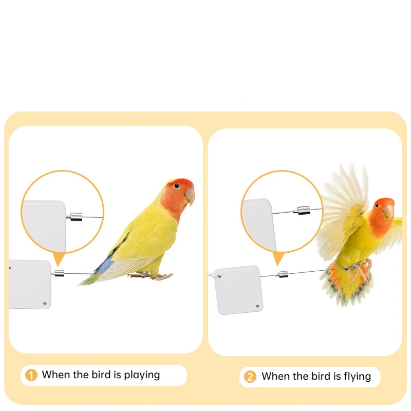 Bird Training Leash with Auto Flying Control for Parrots Stainless Steel Cord Auto Retractable Outdoor Fun Parrot Release Rope