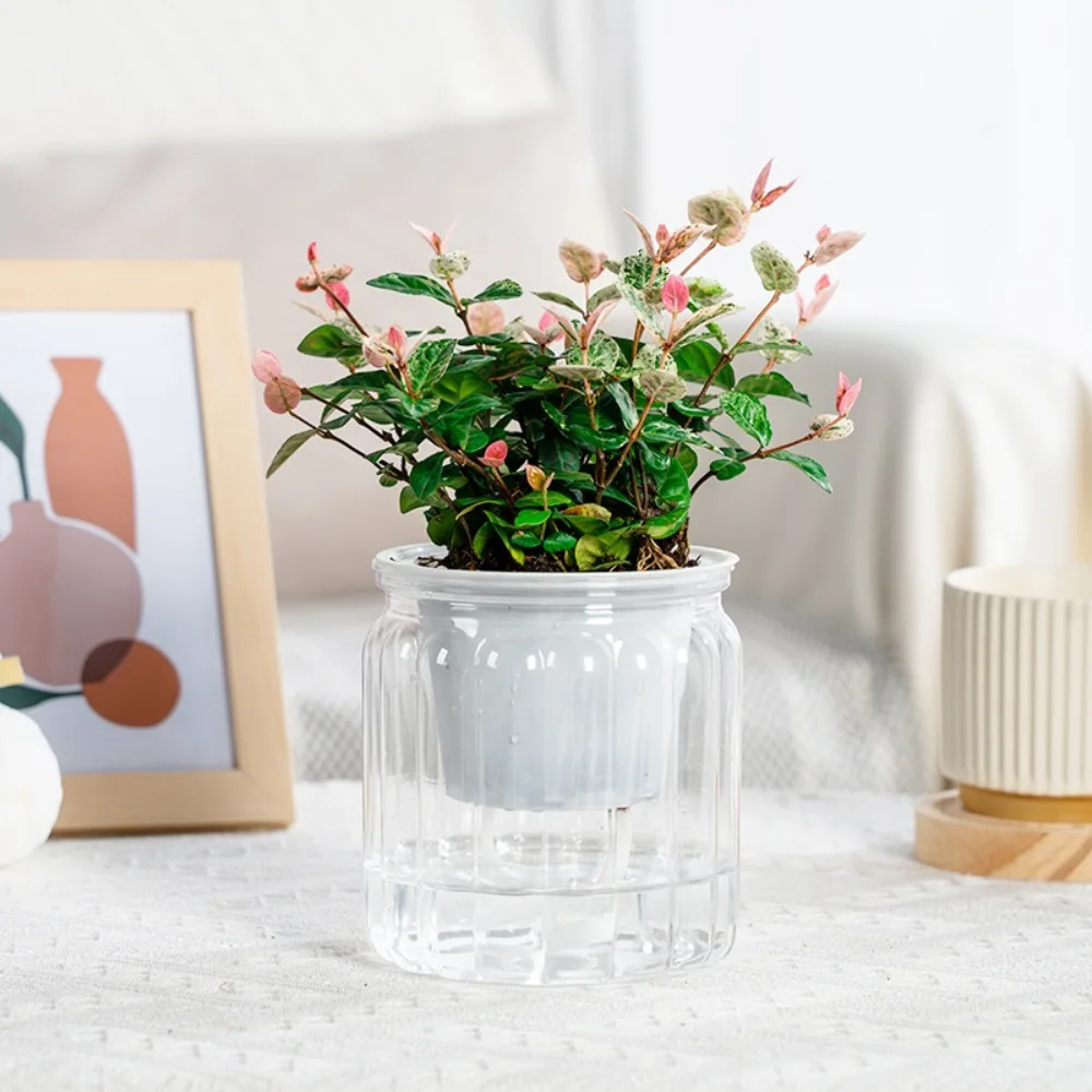 Indoor Mini Self-Watering Succulent Planter Vase - Stylish Home & Office Decor
