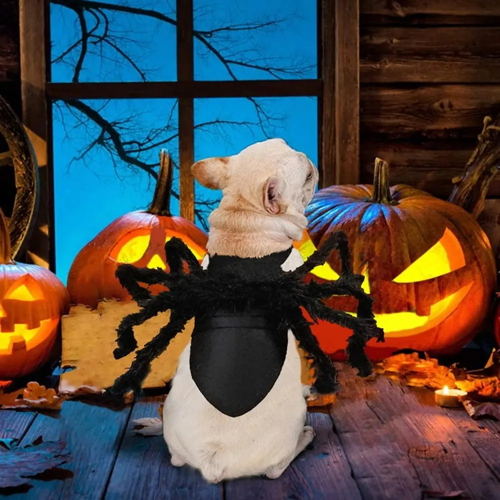 Adjustable Spider Costume for Cats and Dogs 6