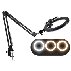 LED Selfie Ring Light with Clamp Phone Holder for Makeup and Video Streaming (Black)