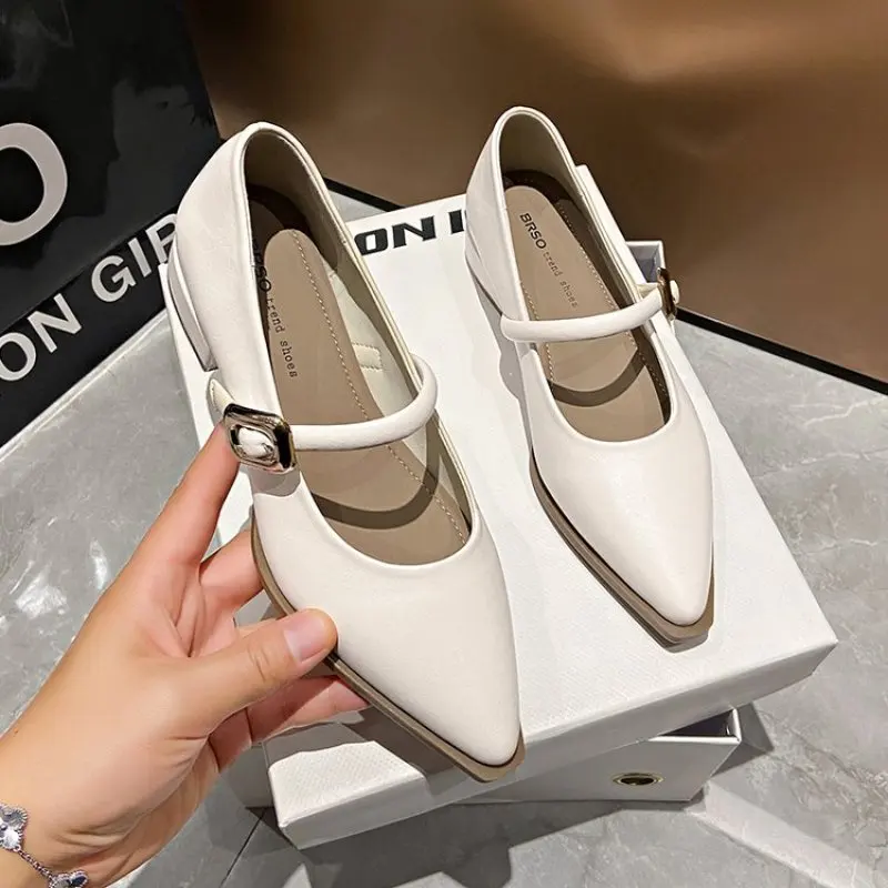 Pointed Toe High Heels Women Shoes New Chunky Dress Party Shoes 2024 Spring Summer Sandals Designer Brand Pumps Female Plus Size