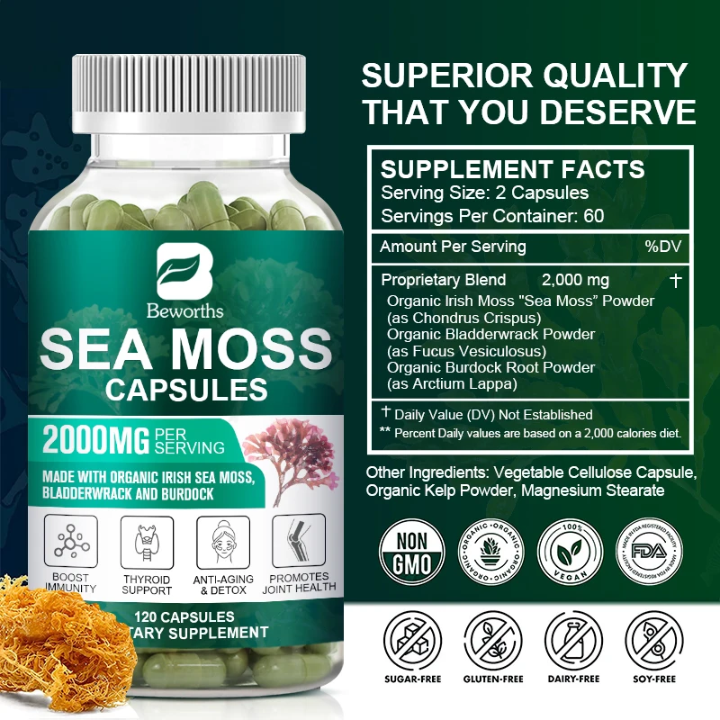 Organic Sea Moss Capsules for Health and Wellness