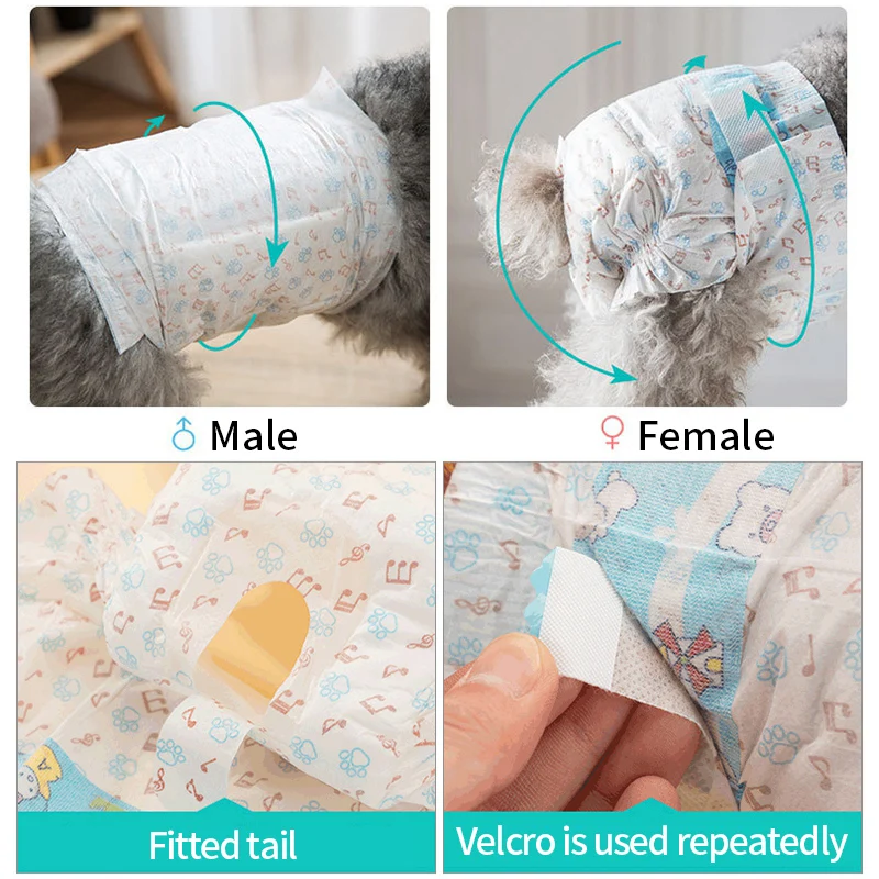 Female Dog Diaper Pants 5