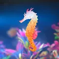 Bright orange