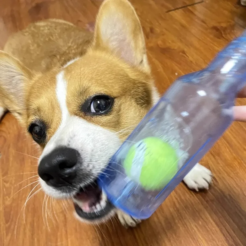 Durable Squeaky Pet Chew Ball - Floating Rubber Tennis Toy