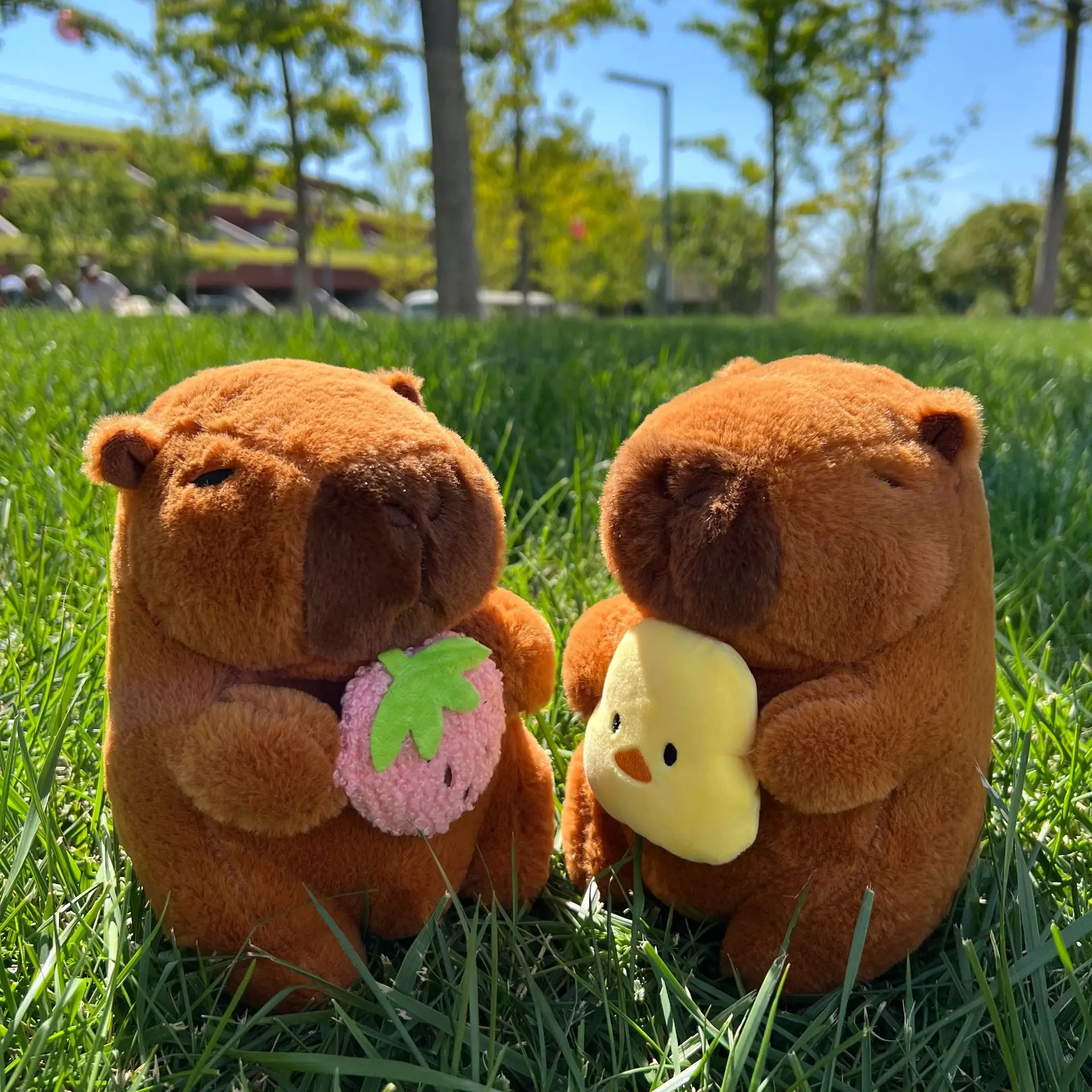21cm Capybara Plush Toy 3